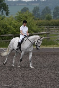 ISIS Dressage Challenge 2008